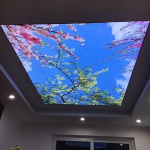 Tranh dán tường xuyên sáng Hoa và Bầu trời xanh